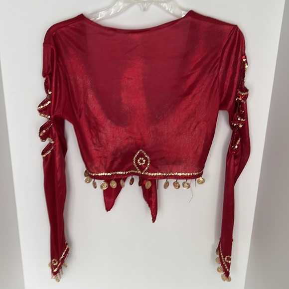 💥SALE💥 Belly Dancer Performer Costume - Picture 5 of 11
